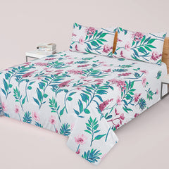 BIG LEAF PREMIUM COTTON KING BEDSHEET 3 PCS