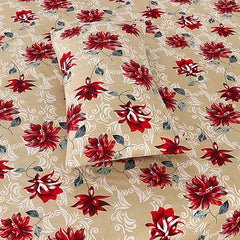 XARA PREMIUM COTTON KING BEDSHEET 3 PCS